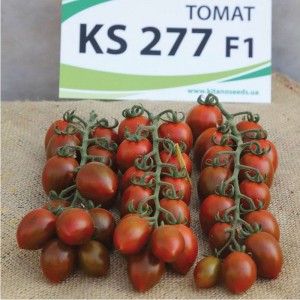 Томат KS 277 F1 25 семян