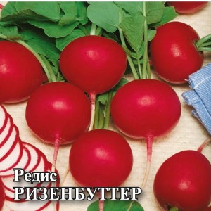 Редис Ризенбуттер 1 кг